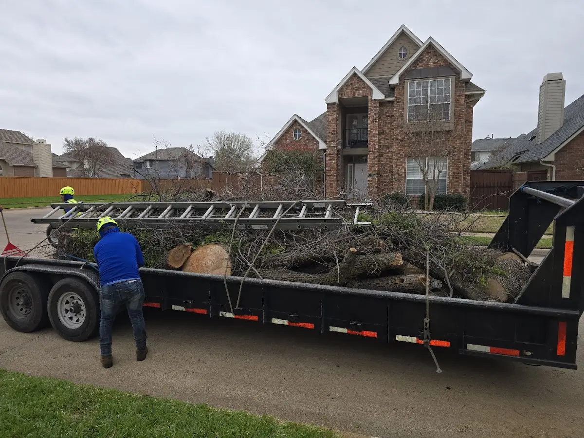 Expert Tree Fertilization with proper safety equipment in Newfield